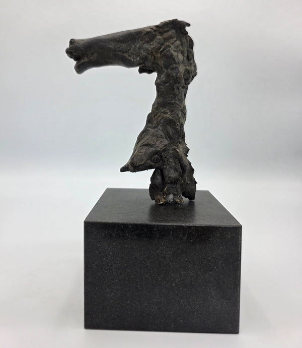 Theo van der Nahmer – Bronzen Paardje