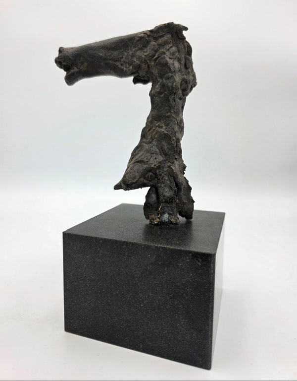 Theo van der Nahmer – Bronzen Paardje