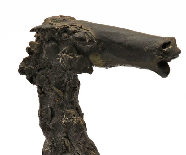 bronze statue of a horse's head on a white concrete base made by Theo van der Nahmer