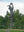 Large statue of a dancing hare along the A28 motorway from the frons side