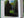 Dolf Zwerver, Woman in a Garden (1988), oil on panel depicting a woman in a blue dress standing between tall green hedges in an enclosed garden pictured in book