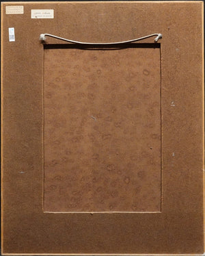 Piet Sebens, stilleven met sneeuwklokjes en houten kistje, olieverfschilderij op paneel, achterzijde schilderij