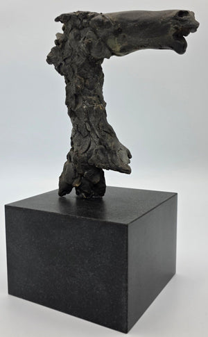 Theo van der Nahmer bronze sculpture of a horse's head