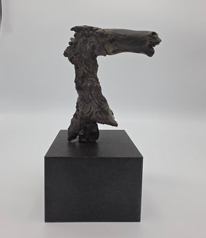 Theo van der Nahmer bronze sculpture of a horse's head