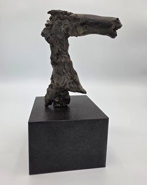 Theo van der Nahmer bronze sculpture of a horse's head